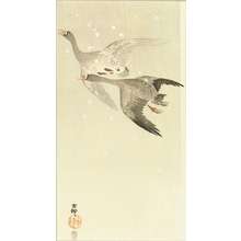 KOSON: Geese, c.1910 - Hara Shobō