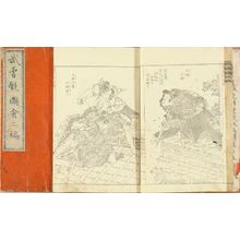 Unknown: , 2 vols. complete, Edo Period, original title slips, slightly stained - Hara Shobō