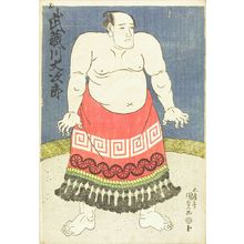 Japanischer Druck "Portrait of the sumo wrestler Musashigawa Daijiro, c.1828" von Utagawa Kunisada, 歌川国貞 (KUNISADA)