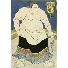 歌川芳虎: Portrait of the sumo wrestler Goyogi Kumoemon, c.1844 - 原書房