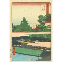 歌川広重: Hachiman Shrine, Ichigaya, from - 原書房