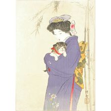 武内桂舟: A frontispiece of a novel, 1910 - 原書房