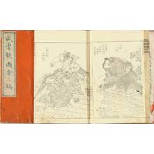 無款: , 2 vols. complete, Edo Period, original title slip, slightly stained - 原書房