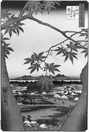 歌川広重: Maple Trees at Mama, Tekona Shrine and Linked Bridge (Mama no momiji Tekona no yashiro Tsugihashi), Number 94 from the series One Hundred Famous Views of Edo (Meisho Edo hyakkei), Edo period, dated 1857 (1st month) - ハーバード大学
