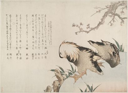 Katsushika Hokusai: Mandarin Ducks (Oshidori) Beneath Blossoming Plum by a River, with verses by Hokusai II, Heishi, Kôchô, Toseki, Taigadô, Taizai, Toen, Taito (formerly Hokusai), Taito and Tobun, Edo period, circa 1813 - Harvard Art Museum