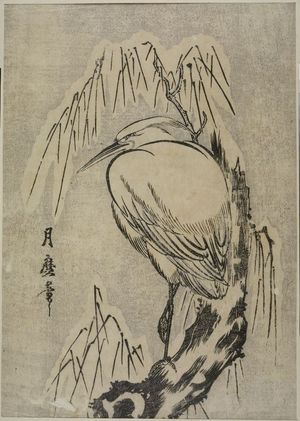 Kitagawa Tsukimaro: HERON IN WILLOW TREE - Harvard Art Museum