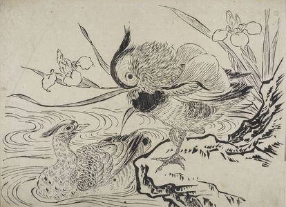 奥村政信: Mandarin Ducks and Iris, Mid Edo period, early 18th century - ハーバード大学