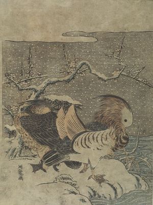 磯田湖龍齋: Mandarin Ducks in Winter, Mid Edo period, circa 1770 - ハーバード大学