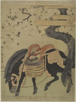 Katsukawa Shunsho: Black Horse Tethered Under a Blossoming Cherry Tree, Edo period, circa 1770 - Harvard Art Museum