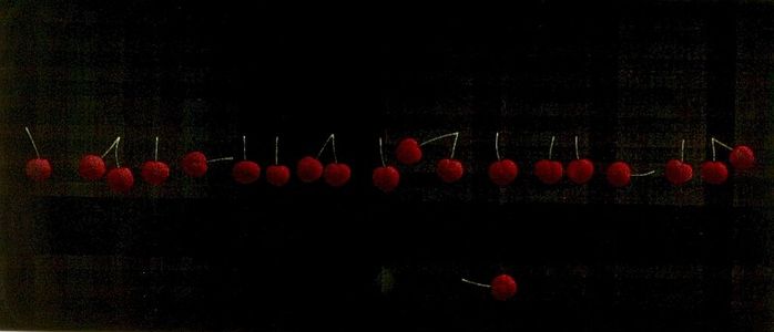 Hamaguchi Yôzô: Nineteen Cherries and One, Shôwa period, dated 1965 - Harvard Art Museum