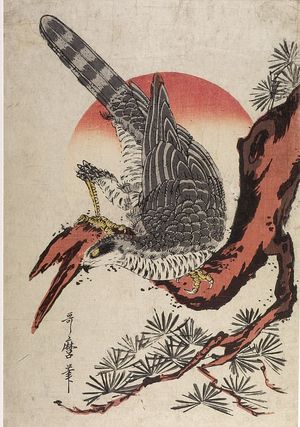 Kitagawa Utamaro: FALCON ON PINE TREE - Harvard Art Museum