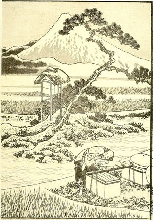 Katsushika Hokusai: Drawing Fuji from Life (Shashin no Fuji): Half of detatched page from One Hundred Views of Mount Fuji (Fugaku hyakkei) Vol. 2, Edo period, 1835 (Tempô 6) - Harvard Art Museum