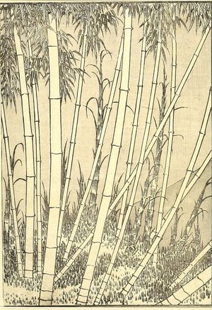 葛飾北斎: Fuji in a Bamboo Grove (Chikurin no Fuji): Half of detatched page from One Hundred Views of Mount Fuji (Fugaku hyakkei) Vol. 2, Edo period, 1835 (Tempô 6) - ハーバード大学