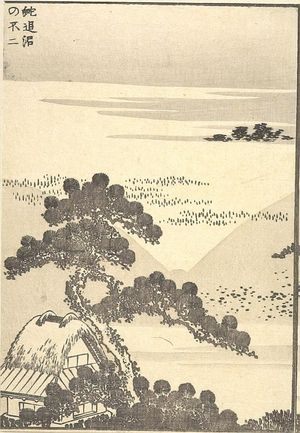 Katsushika Hokusai: Fuji from Snake-Crossing Swamp (Jaoinuma no Fuji): Detatched page from One Hundred Views of Mount Fuji (Fugaku hyakkei) Vol. 3, Edo period, circa 1835-1847 - Harvard Art Museum