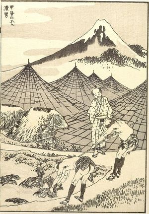 葛飾北斎: The Farmland of Fuji in Kai Province (Kai no Fuji nô-otoko): Detatched page from One Hundred Views of Mount Fuji (Fugaku hyakkei) Vol. 3, Edo period, circa 1835-1847 - ハーバード大学