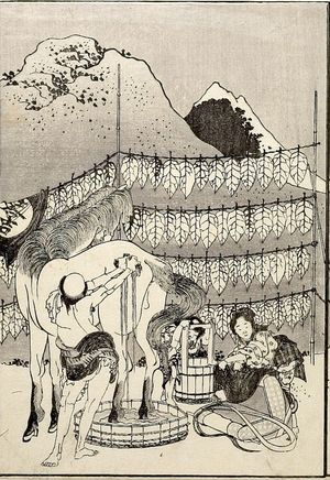 葛飾北斎: Fuji from Behind (Ura Fuji): Detatched page from One Hundred Views of Mount Fuji (Fugaku hyakkei) Vol. 1, Edo period, 1834 (Tempô 5) - ハーバード大学