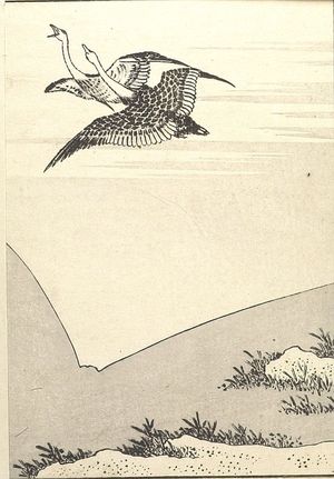 葛飾北斎: Fuji on the Face of a Paddy (Tanomo no Fuji): Detatched page from One Hundred Views of Mount Fuji (Fugaku hyakkei) Vol. 1, Edo period, 1834 (Tempô 5) - ハーバード大学