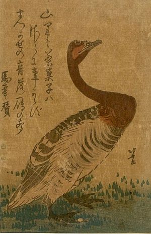Katsushika Hokusai: GOOSE - Harvard Art Museum