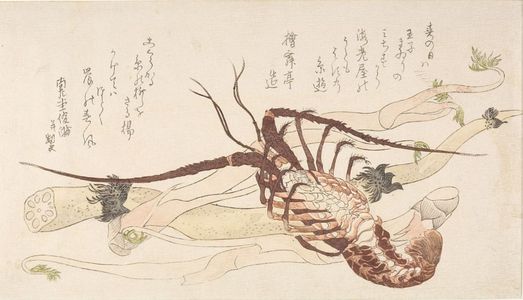 窪俊満: Crawfish (Ebi), Lotus Root (Renkon) and Zingiber Root (Udo), with poems by Hinoki Butei Tsukuru and Shunman, Edo period, circa early 19th century - ハーバード大学