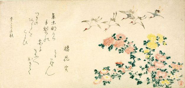 窪俊満: Cranes and Chrysanthemums, with poem by Tachibana Kajitsu, Edo period, dated 1813 (Mizutori no aki / Autumn of Bunka 10) - ハーバード大学