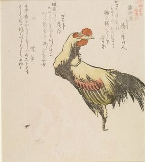 窪俊満: Bird Competition (Tori-awasebara) Rooster and Dog, from the series Chronicles of Kamakura (Kamakura shi), with poems by Kyoben and associates, Edo period, circa 1813 - ハーバード大学