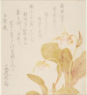 窪俊満: Orchids, with poem by Ichijian Kigyoku, Edo period, either 1804 (Spring of the Year of the Rat) or 1812 - ハーバード大学