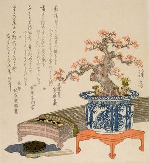 渓斉英泉: Koto and Plum Tree - ハーバード大学