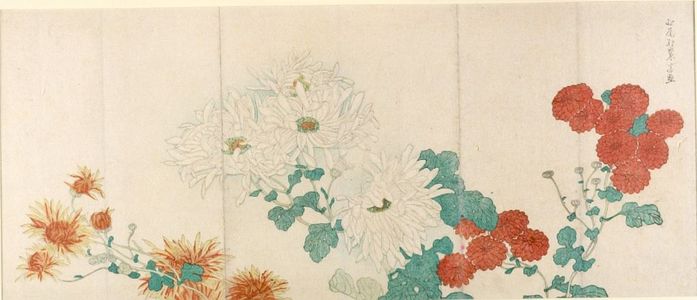 Kitao Shigemasa: Chrysanthemums - Harvard Art Museum