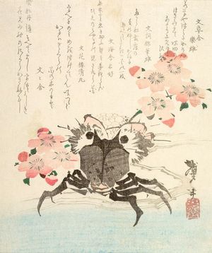 Katsushika Hokusai: Crab and Flowers - Harvard Art Museum