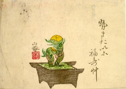 San'anによる浮世絵「Plant Grown in a Flower Pot」