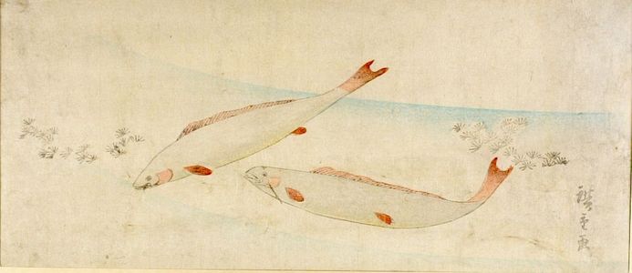 Utagawa Hiroshige: Swimming Trout - Harvard Art Museum