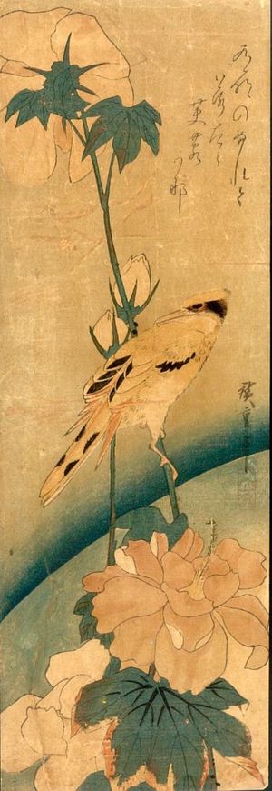 Utagawa Hiroshige: FLOWER AND BIRD - Harvard Art Museum