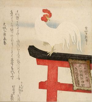 Hakuyu: WHITE COCK ON TORII, Late Edo period, 1825 - ハーバード大学