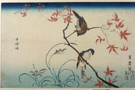 Kuwagata Keisai: JUGARA BIRDS ON MAPLE BRANCH - Harvard Art Museum