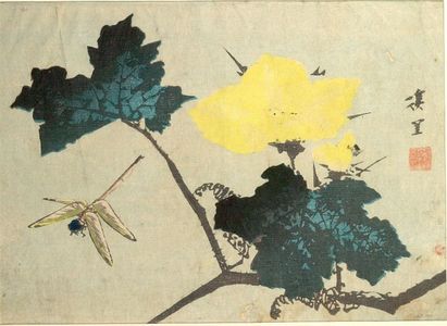 Keiri: BIRDS AND FLOWERS.DRAGONFLY AND YELLOW MORNING GLO RY., Late Edo period, dated 1840 - ハーバード大学