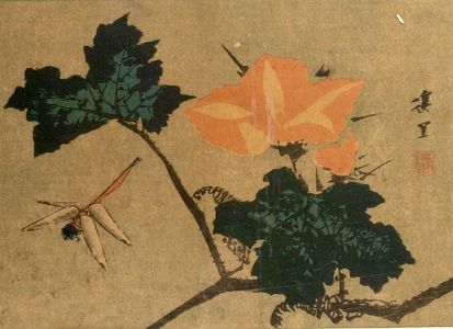 Keiri: BIRDS AND FLOWERS,DRAGONFLY AND PINK MORNING GLORY, Late Edo period, dated 1840 - ハーバード大学