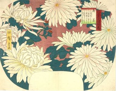 Utagawa Hiroshige: CHRYSANTHEMUM, FROM THE SERIES HANA ZUKUSHI MITATE FUKUROKUJU (THE GODS OF GOOD FORTUNE REPRESENTED AS FLOWERS) - Harvard Art Museum