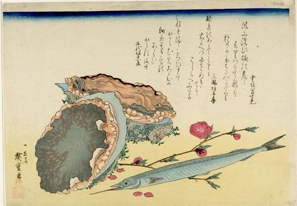 歌川広重: Abalone (Awabi), Halfbeak (Sayori) and Peach (Momo), from the series A Shoal of Fishes (Uo-zukushi) - ハーバード大学