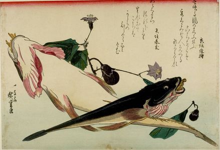 Utagawa Hiroshige: Flathead (Kochi) and Eggplants (Nasubi), from the series A Shoal of Fishes (Uo-zukushi) - Harvard Art Museum