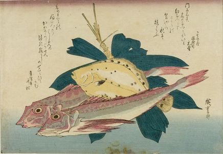 Utagawa Hiroshige: Gurnard (Kanagashira), Right-Eye Flounder (Konoa-garei) and Bamboo Grass (Sasa), from the series A Shoal of Fishes (Uo-zukushi) - Harvard Art Museum
