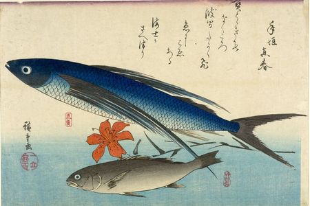 歌川広重: Flying Fish (Tobiuo), White Croaker (Ishimochi) and Lily (Yuri), from the series A Shoal of Fishes (Uo-zukushi) - ハーバード大学