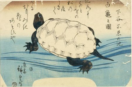 Ando Hiroshige, 歌川広重 (Andô Hiroshige)による浮世絵「A WHITE TURTLE AT SHINOBA LAKE」