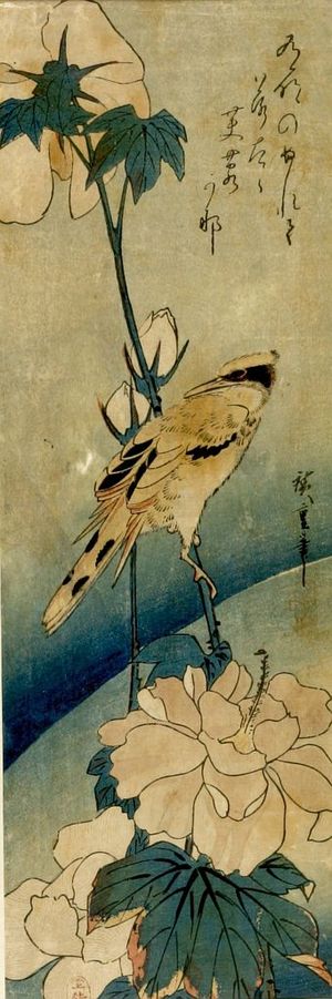 Utagawa Hiroshige: BIRD AND A FLOWERING PEONY, Late Edo period, dated 1830 - Harvard Art Museum