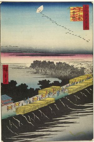 Utagawa Hiroshige: Nihon Embankment, Yoshiwara (Yoshiwara Nihonzutsumi), Number 100 from the series One Hundred Famous Views of Edo (Meisho Edo hyakkei), Edo period, dated 1857 (4th month) - Harvard Art Museum