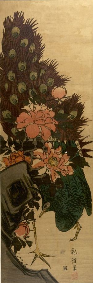 Hicho: PEACOCK AND PEONIES - Harvard Art Museum