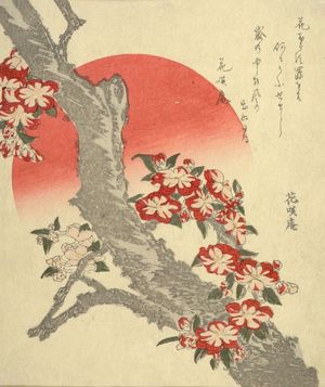 葛飾北斎: Cherry Blossoms, with poem by Tawara no Komemori (a/k/a Kashôan), Edo period, - ハーバード大学
