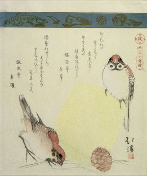 魚屋北渓: Sparrows, Basket and Pine Cone, from the series A Collection of Thirty-Six Birds and Animals (Sanjûroku tori zukushi), Edo period, circa 1825 - ハーバード大学