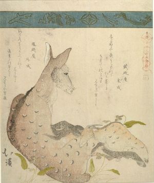 魚屋北渓: Doe and Fawn, from the series A Collection of Thirty-Six Birds and Animals (Sanjûroku tori zukushi), Edo period, circa 1825 - ハーバード大学