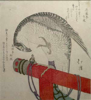 Totoya Hokkei: FALCON ON PERCH - Harvard Art Museum
