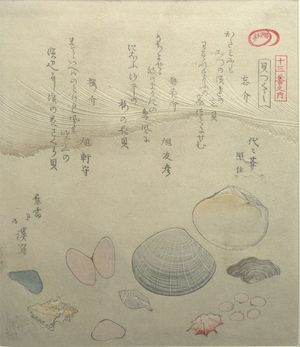 Totoya Hokkei: Wasuregai, Baikagai and Sakuragai Shells, from the series A Set of Shells (Kaizukushi), Edo period, 1821 - Harvard Art Museum